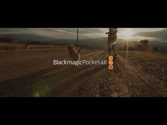 Blackmagic Pocket 4k is still good in 2025?