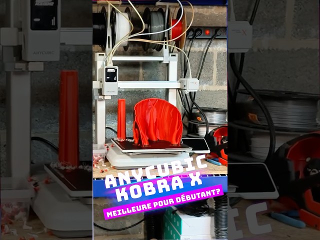 Anycubic Kobra X: The best 4-color printer for beginners?