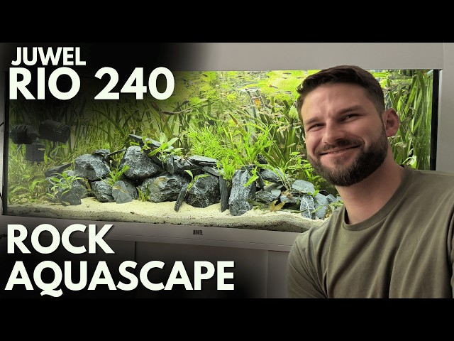From Planted Jungle to Fast-Flowing River: Full Aquarium Build