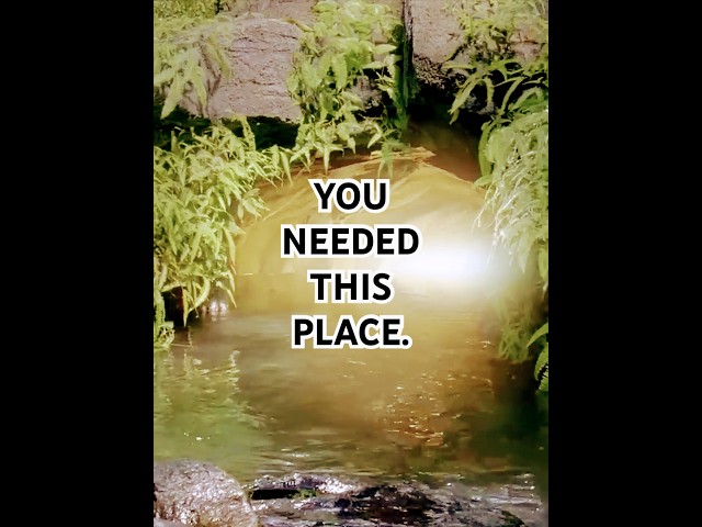 Why were characters brought to The Island in #LOST? #shorts #quickanswers #episodeguide