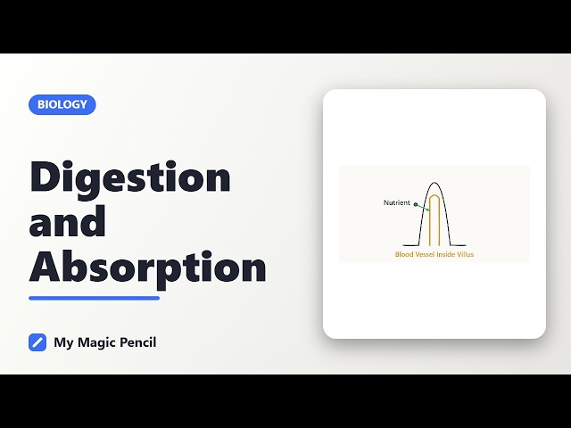 Human Physiology: Digestion and Absorption Part 1#neet #biology