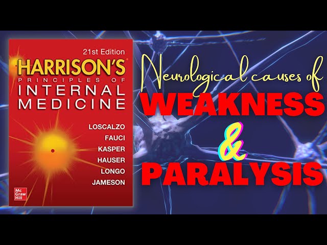 WEAKNESS & PARALYSIS | Types | Pathogenesis | Origin | UMN vs LMN | Neurology | Harrison