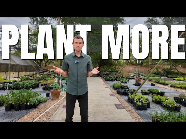 I Surveyed 120 Texas Gardeners. Their #1 Problem Surprised Me.