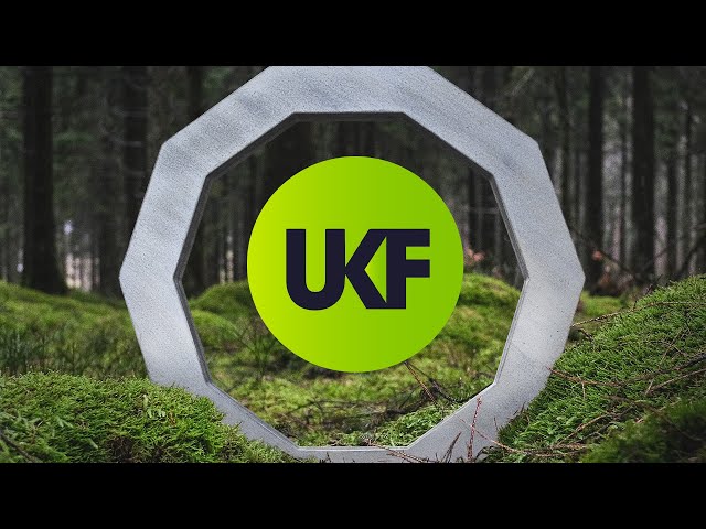 Hybrid Minds & Birdy - State Lines