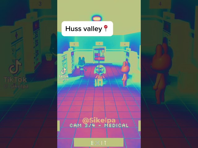 Huss Hospital #hussvalley #animalhospital #anomaly