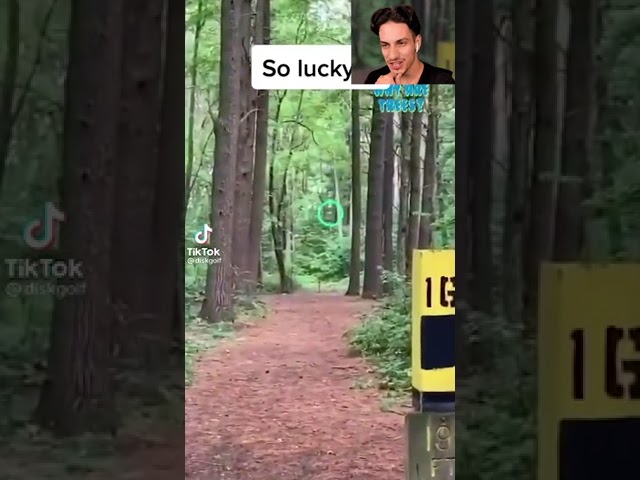MOST INSANE TRICK SHOT! #shorts
