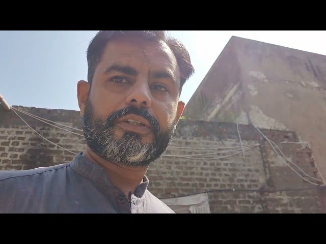 java birds colony | farm pr daliy routine my kam krty howy