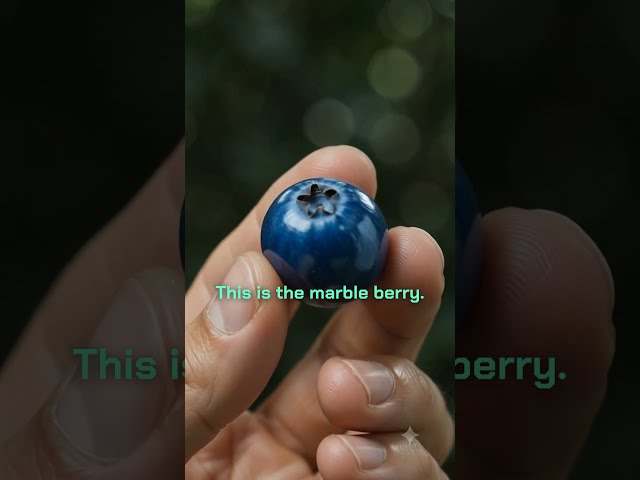 The Only Fruit That Never Fades