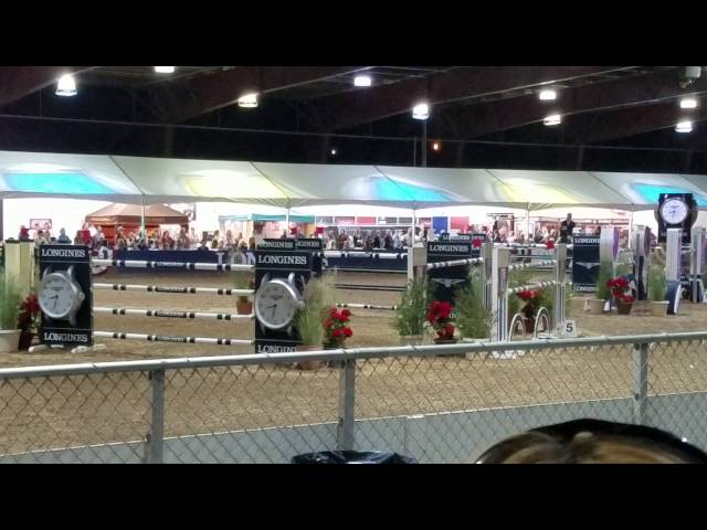 Bad video clips of amazing horse jumpers