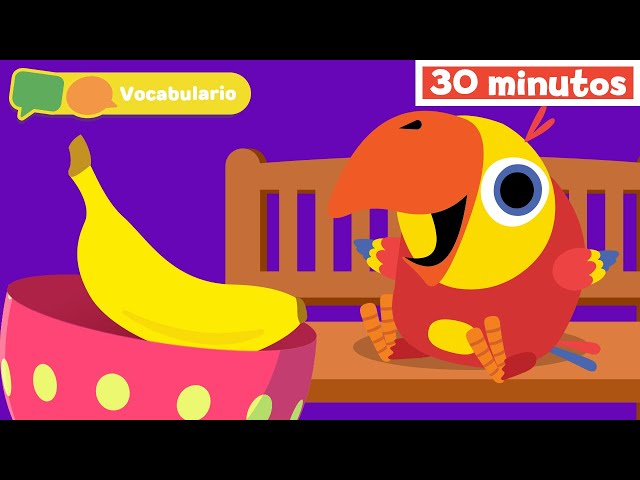 Aprender Nuevas Palabras | Vocabulario para Niños | Vocabularry con Larry | Mi Primera Universidad