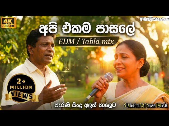 Api Ekama Panthiye | අපි එකම පන්තියේ  EDM Remix 🎧 | Sinhala Old Hit Reimagined