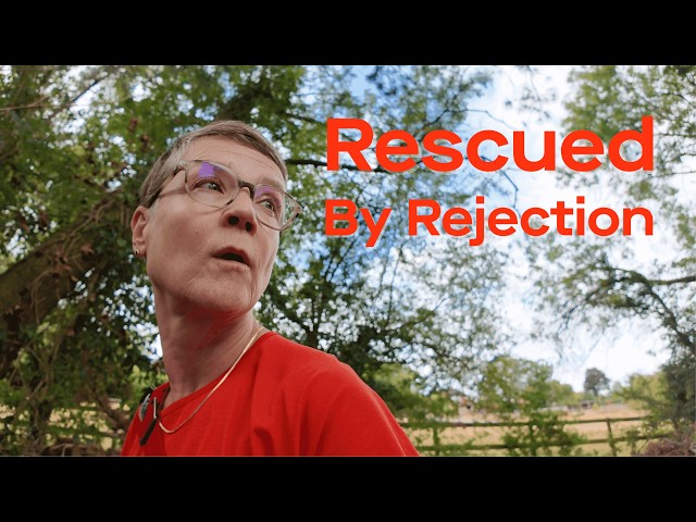 Why a Job Rejection Made Me Cry (It Wasn't About the Job)
