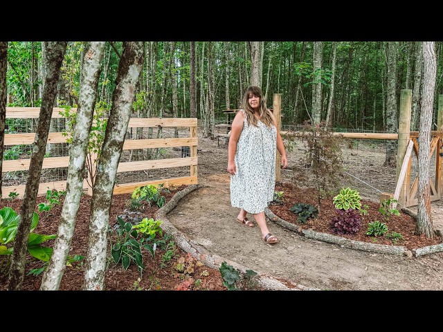 We Turned an Abandoned Corner into a Secret Garden