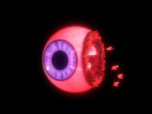 Elohim - "Can't Remember Your Name" (Official Visualizer)