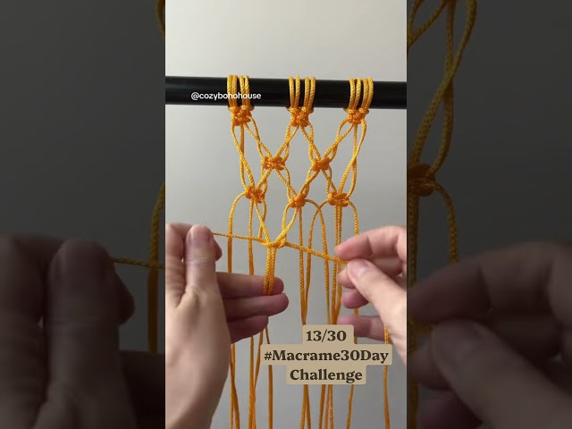 Easy Macrame Pattern You’ll Want to Try 🧶 | Day 13/30 #Macrame #diy #macramepatterns