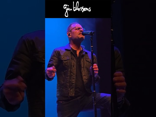 MISS DISARRAY LIVE! Gin Blossoms 2025 Tour #ginblossoms