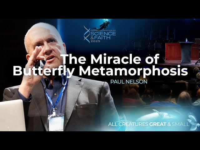 The Miracle of Butterfly Metamorphosis (2025 Dallas Conference on Science & Faith)