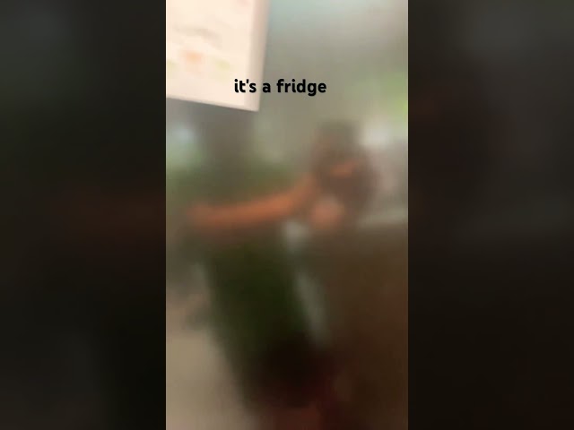Fridge #1
