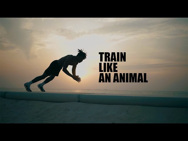 My TRAINER IS AN ANIMAL - Cinematic motivational workout video