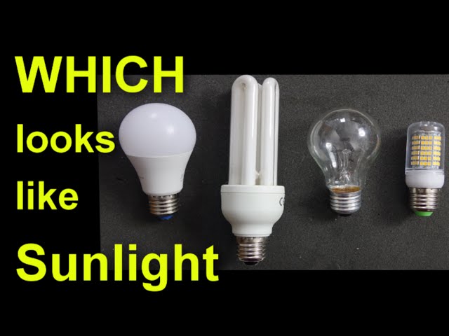 Which light bulb looks most like sunlight?