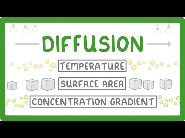 What is Diffusion? How Does it Work? What Factors Affect it? (2026/27 exams)