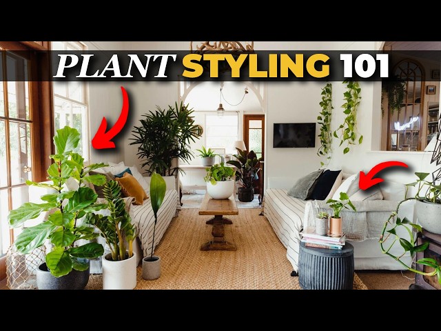 3 Pro Tips to Style Indoor Plants Like an Interior Designer | Julie Khuu