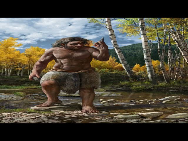Homo longi