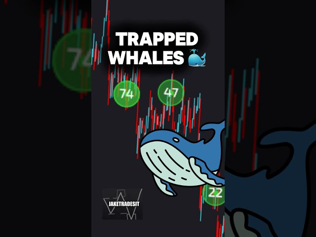 Trapped Whales