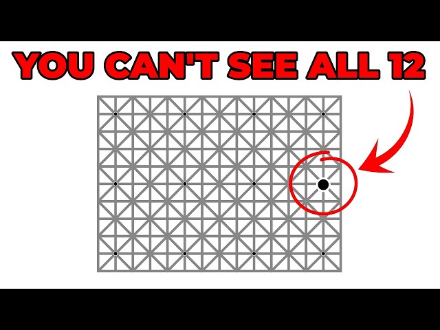 You Can’t See All 12 Dots at Once