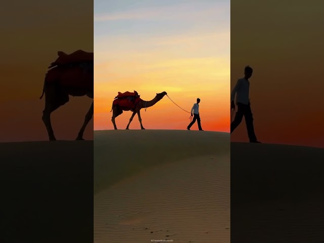 Rajasthan 💫 🙏♥️💯 #edit #ytshorts #rajasthani #shorts