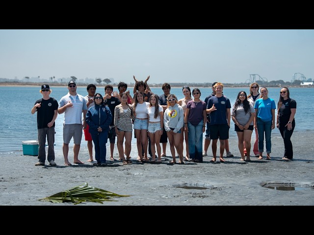 Sea Bass in the Classroom | Mar Vista High School Fish Release