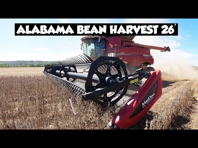 SOYBEAN HARVEST AND DRONE FOOTAGE 2026