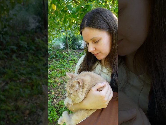 A little walk with my cat 🐱