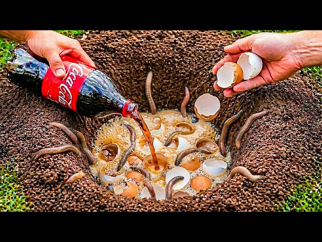 Pour Coca-Cola and Eggshells into a Hole! The Whole World Will Be Shocked 😱 | Creation Hack