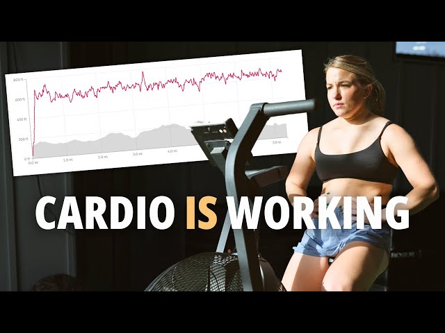 Under appreciated Adaptations to Cardio Training (Health + Performance Gains) •
