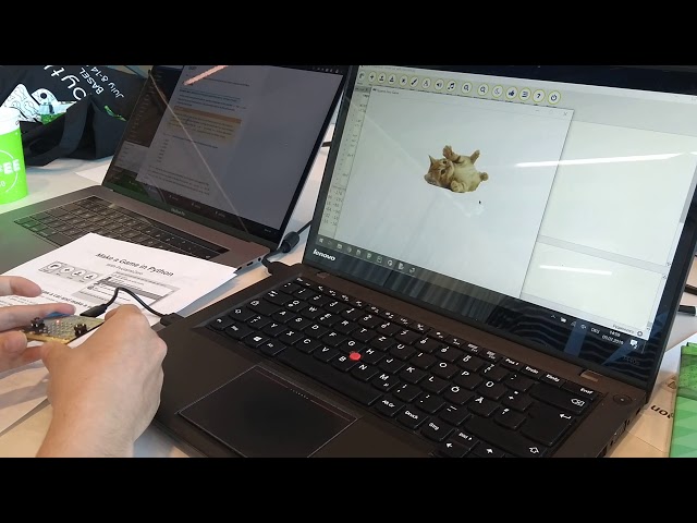 EuroPython beginners' day micro:bit controlled kittens