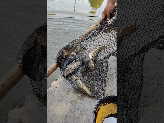 Grateful for Today's Fishing Trip
