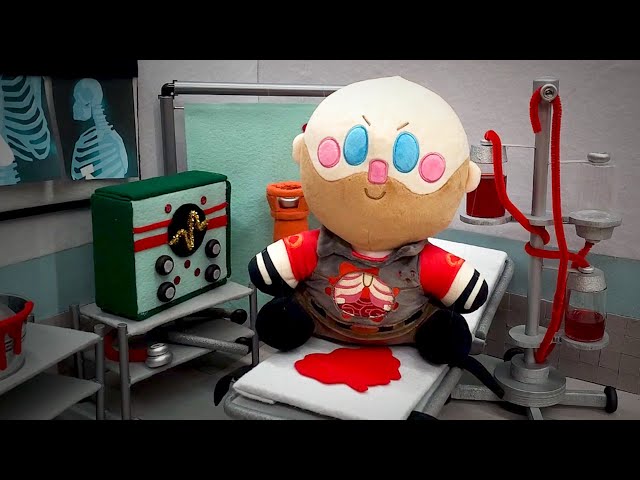 Meet the REAL Plushies (Meet the REAL Medic)