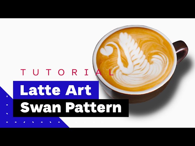 Latte Art For Beginners: How To Pour Swan (Latte Art Tutorial) 🦢