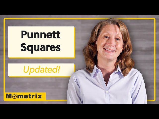 What is a Punnett Square? (Updated!)
