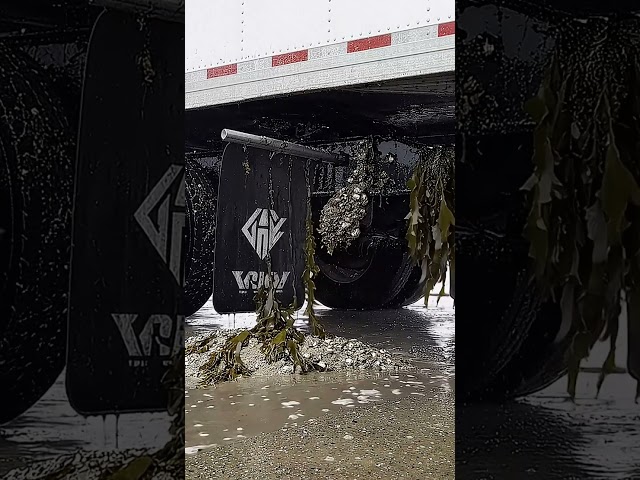 Most Satisfying Barnacle Removal Extreme Truck Deep Clean! 🌊🚛