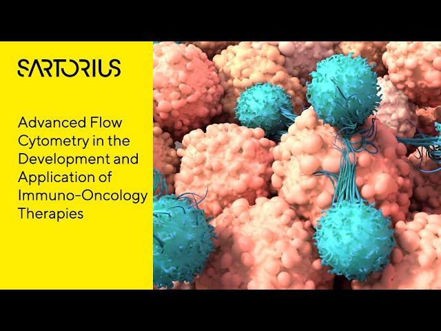 Deriving Context from Immunological Data with Advanced Flow Cytometry