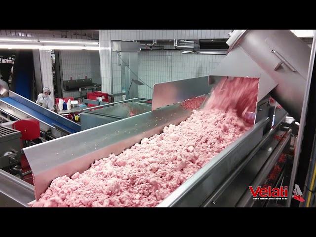 Salami Processing Line with Bowl Chopper - Velati Srl Italy