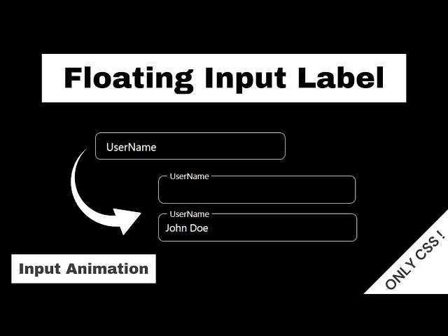 Create a Floating Input Label using HTML and CSS | CSS Tutorial