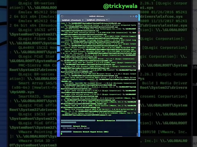 winpeas.exe #trickywala #coding #kalilinux #linux #tricky #trending #trendingshorts #python #phonk
