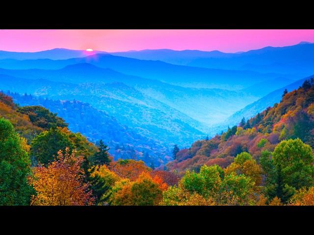 "Floating Autumn Leaves" Beautiful Relaxing Music, Peaceful Soothing Instrumental Music by Tim Janis