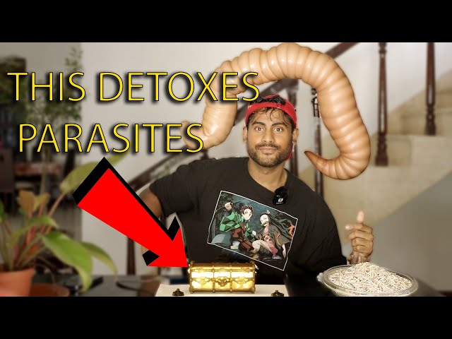 Ayurvedic Parasite Detox - ONE Ingredient!