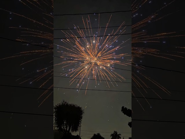 Fireworks show!   (flash warning)      #shorts #shortvideo #shortsfeed