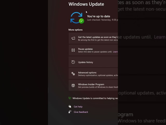OneDrive Personal Vault Error 0.8.000.4005? Check Windows Update First