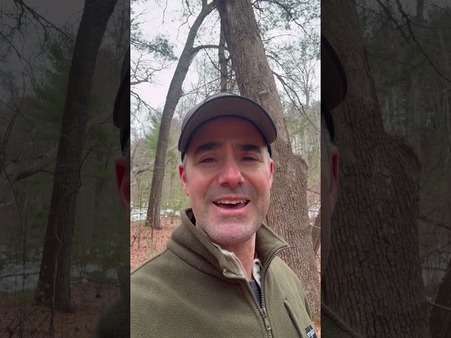 Tracking 200 Trail Camera Photo Video Contest sponsored by XTAR lithium ion batteries